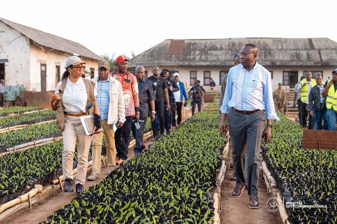 RDC : le ministre de l’Économie Daniel Mukoko en mission à Yaligimba pour relancer l’agro-industrie