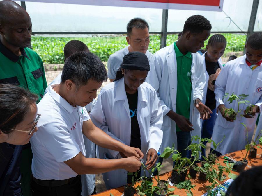 Le 15e Plan quinquennal de la Chine apporte de nouvelles opportunités pour la coopération sino-africaine