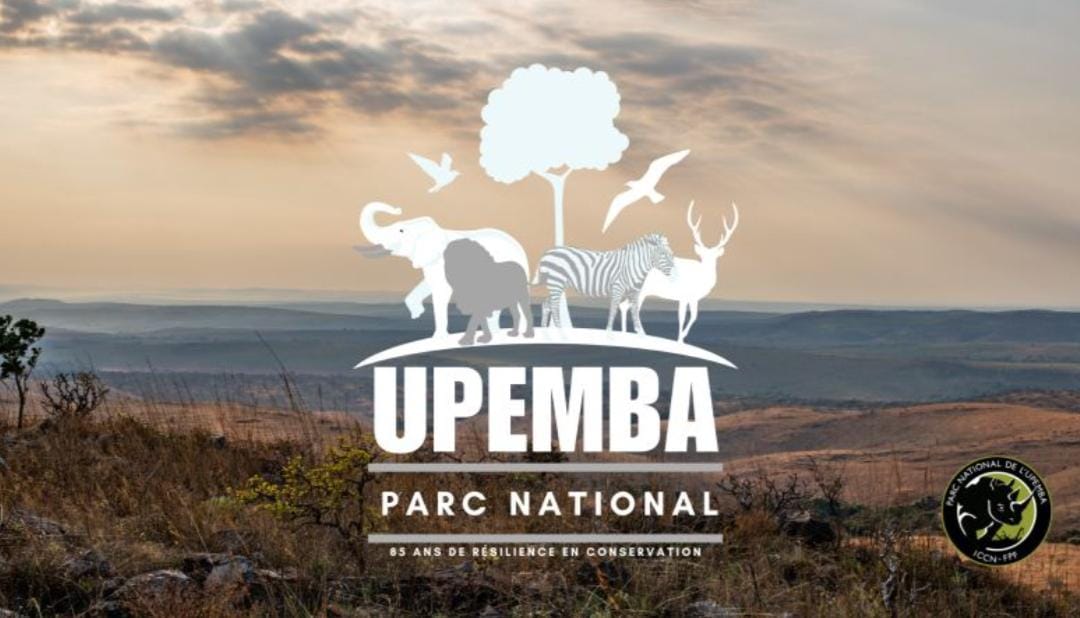 Attaque armée à Lusinga : cinq agents de l&rsquo;ICCN tués au Parc national de l&rsquo;Upemba